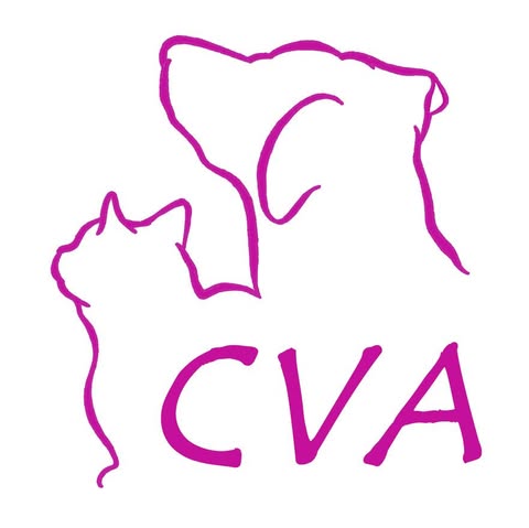 Clínica Veterinaria Azahara – Rincón de la Victoria (Málaga)